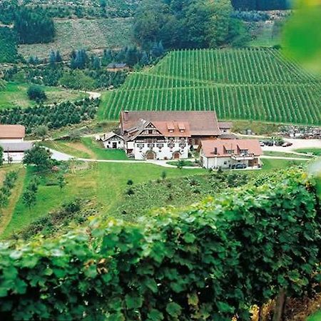 Weingut Alfred Huber Apartment Дурбах Екстериор снимка
