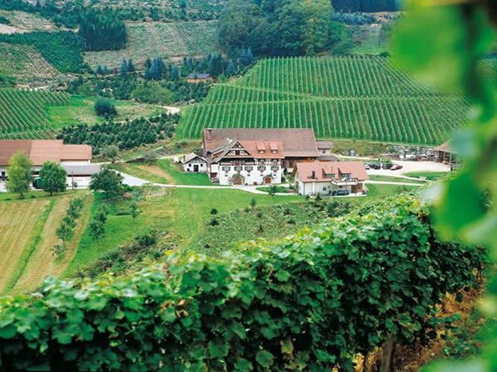 Weingut Alfred Huber Apartment Дурбах Екстериор снимка