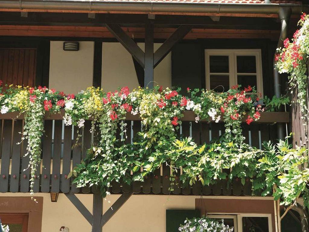 Weingut Alfred Huber Apartment Дурбах Екстериор снимка